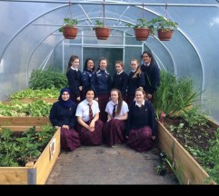 Colaiste Nano Nagle Colaiste Nano Nagle | Secondary School Limerick ...